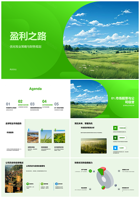 全球牧业策略财务规划与牧场盈利模式PPT模板