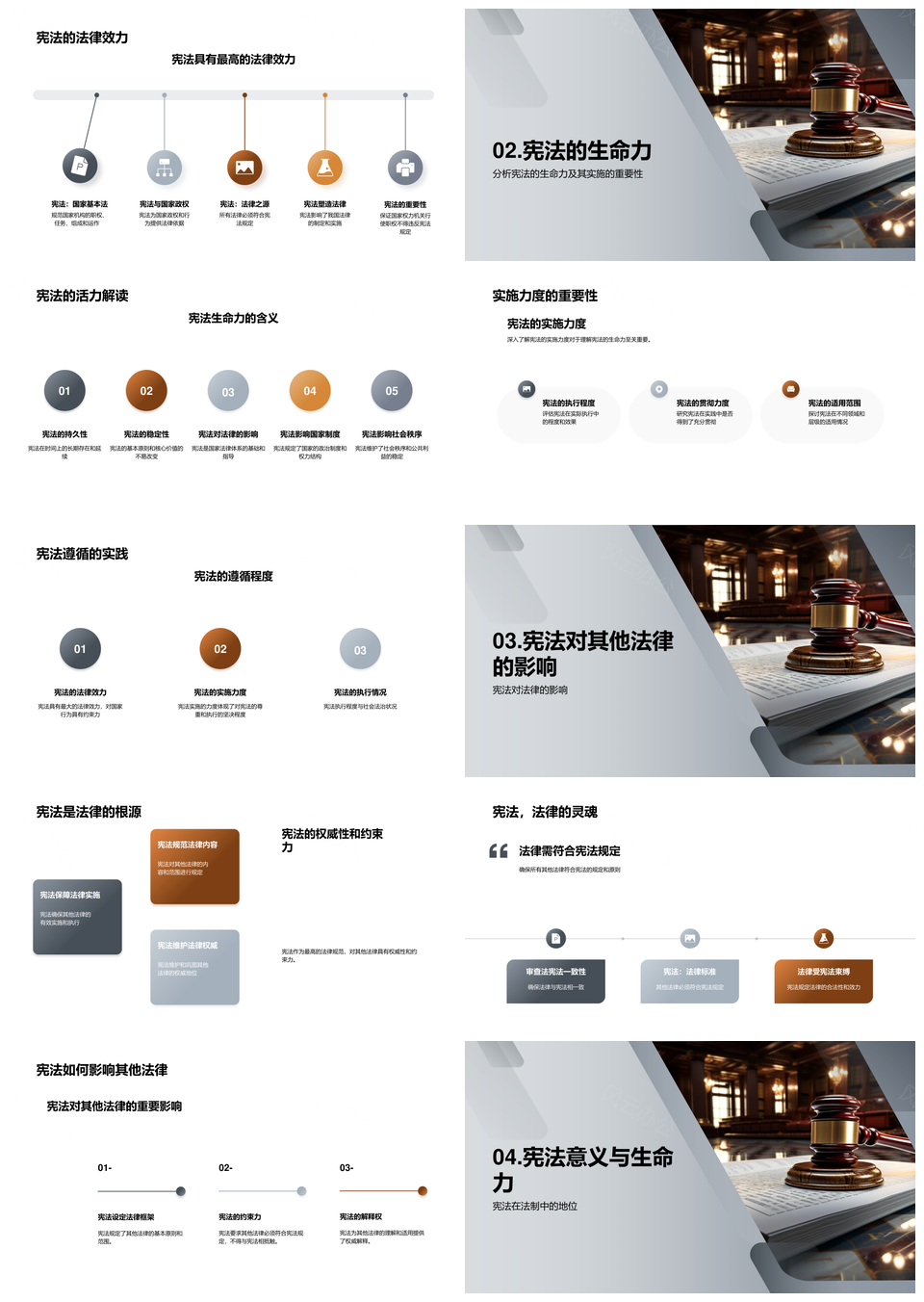 宪法国家基本法效力实施生命力PPT模板