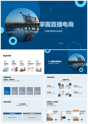 直播电商市场规模增长与运营盈利模式解析PPT模板