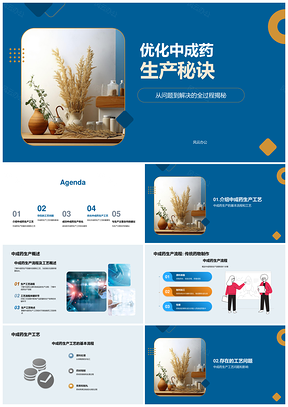 中成药生产工艺优化提升效率竞争力PPT模板