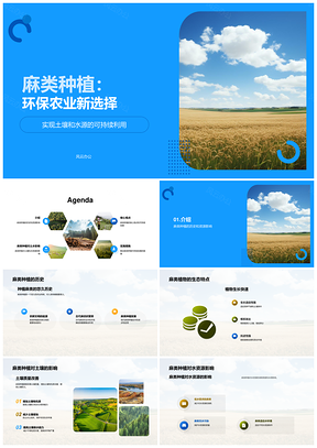 麻类种植助推农业环保可持续发展PPT模板