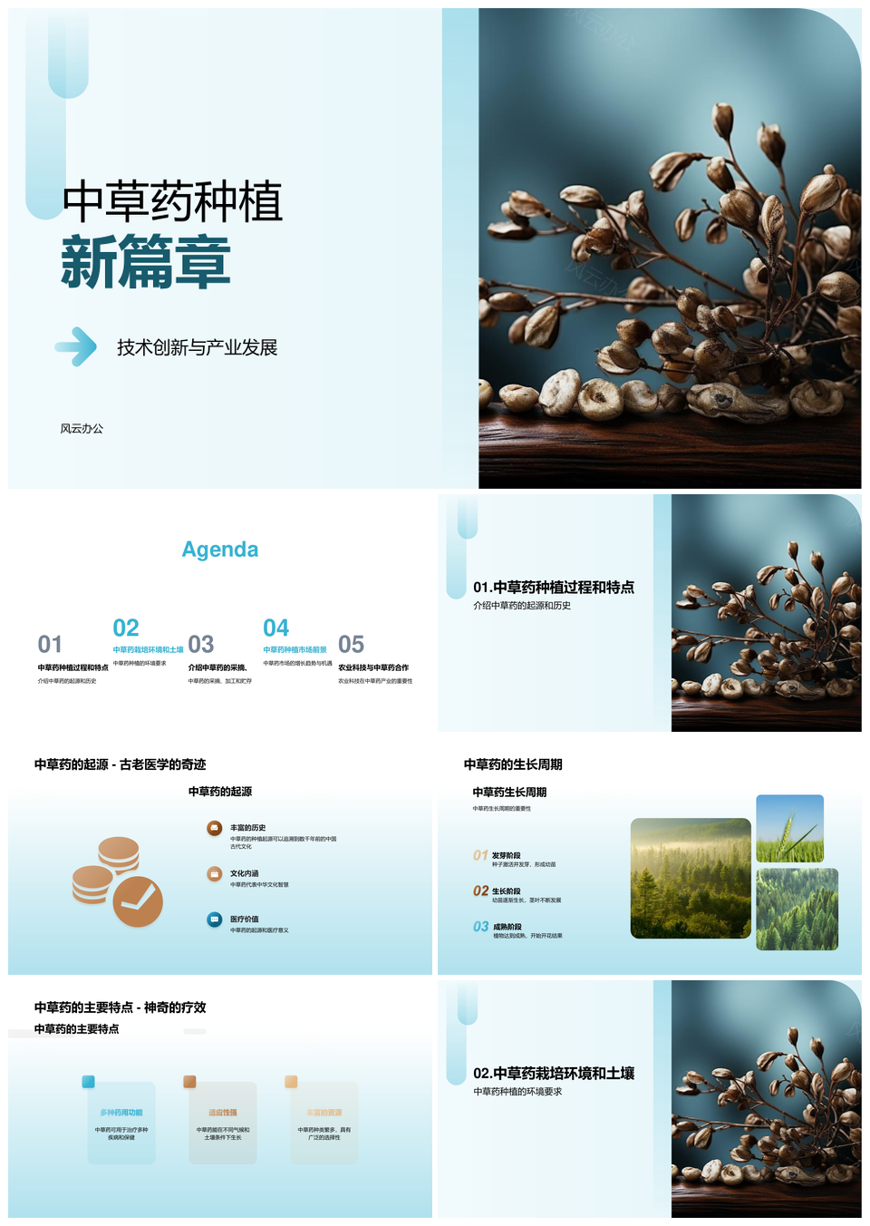 中草药种植技术研讨专家解析栽培前景PPT模板