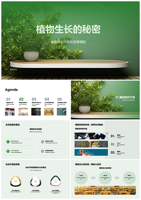 植物光能转化激素环境调控生长PPT模板