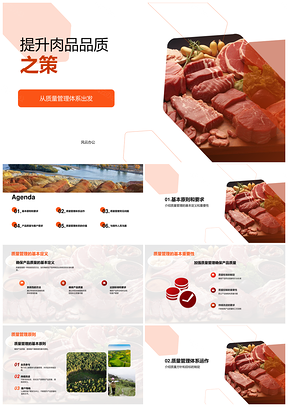 肉制品加工企业质量管理提升策略PPT模板
