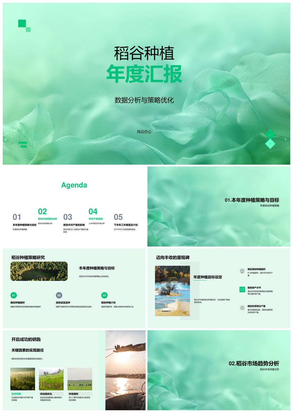 稻谷种植年报分析策略优化全球国内市场新技术产量成本PPT模板