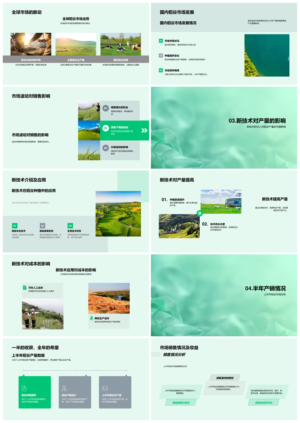 稻谷种植年报分析策略优化全球国内市场新技术产量成本PPT模板