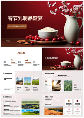 春节乳制品营销策略传统品质需求保障PPT模板