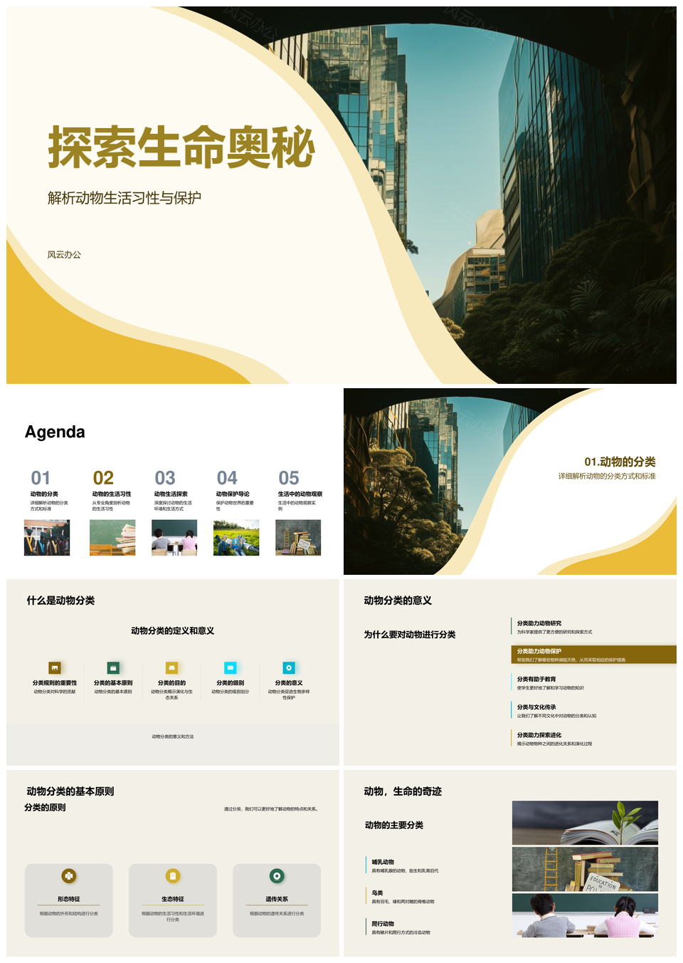 丛林动物生态观察与保护教育PPT模板