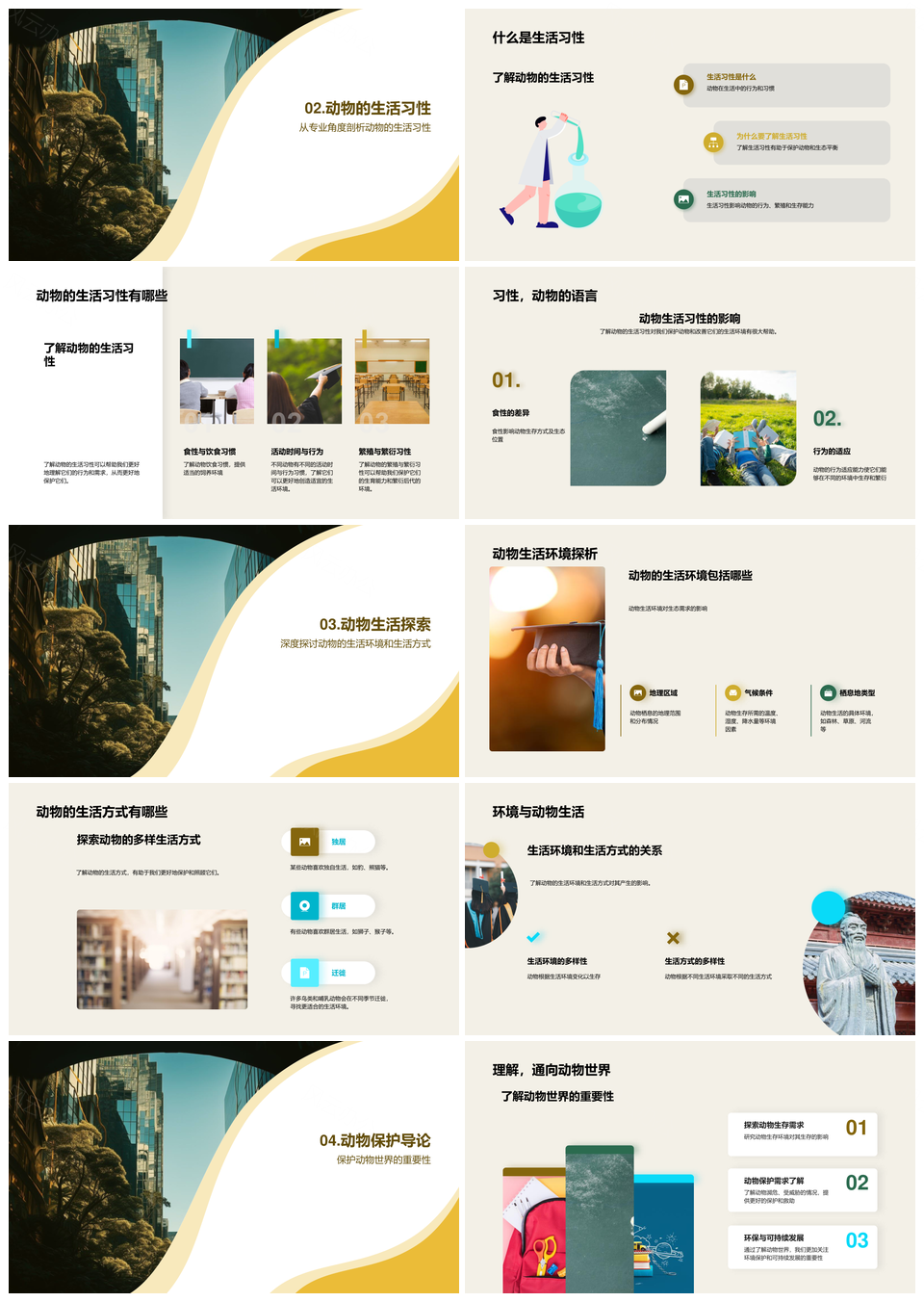 丛林动物生态观察与保护教育PPT模板