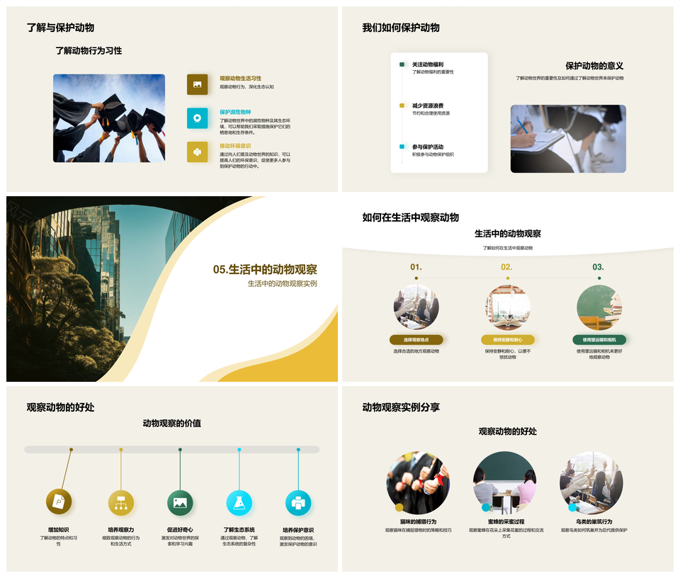 丛林动物生态观察与保护教育PPT模板