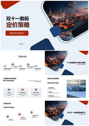 双十一电商数码定价策略与消费者行为PPT模板