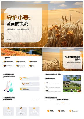 小麦种植病虫害防治保产提质农药应用PPT模板