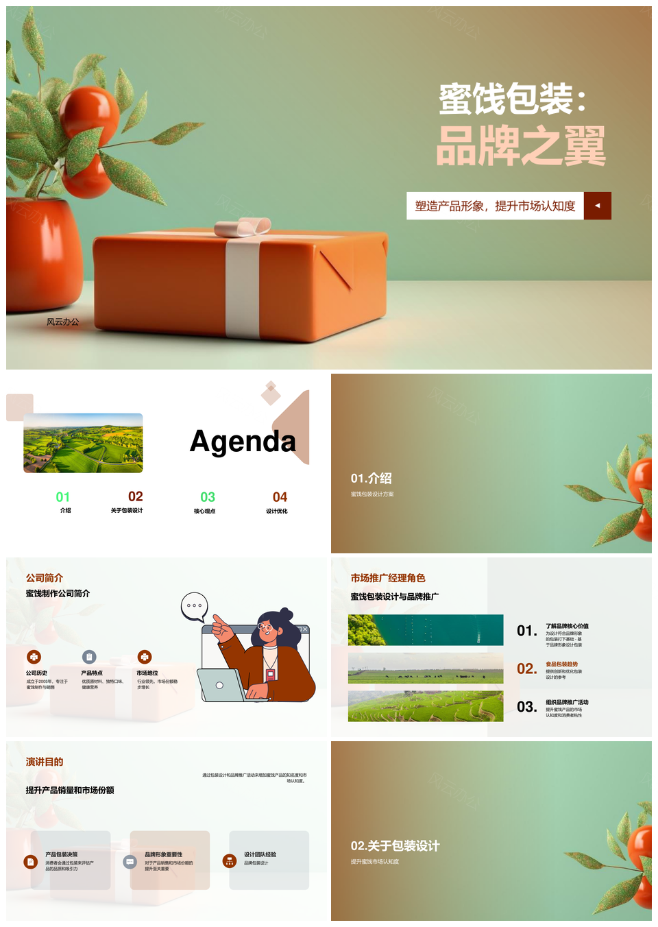 蜜饯包装设计驱动品牌营销策划推广PPT模板