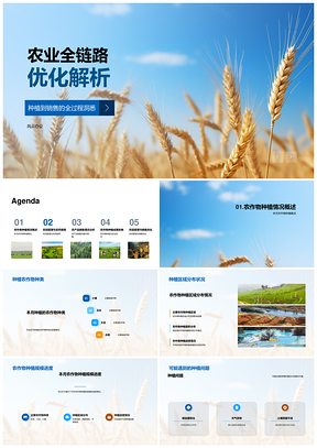 农业全链路优化种植管理销售策略PPT模板