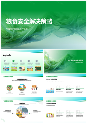 2025气候变迁下粮食安全与生产供应策略PPT模板