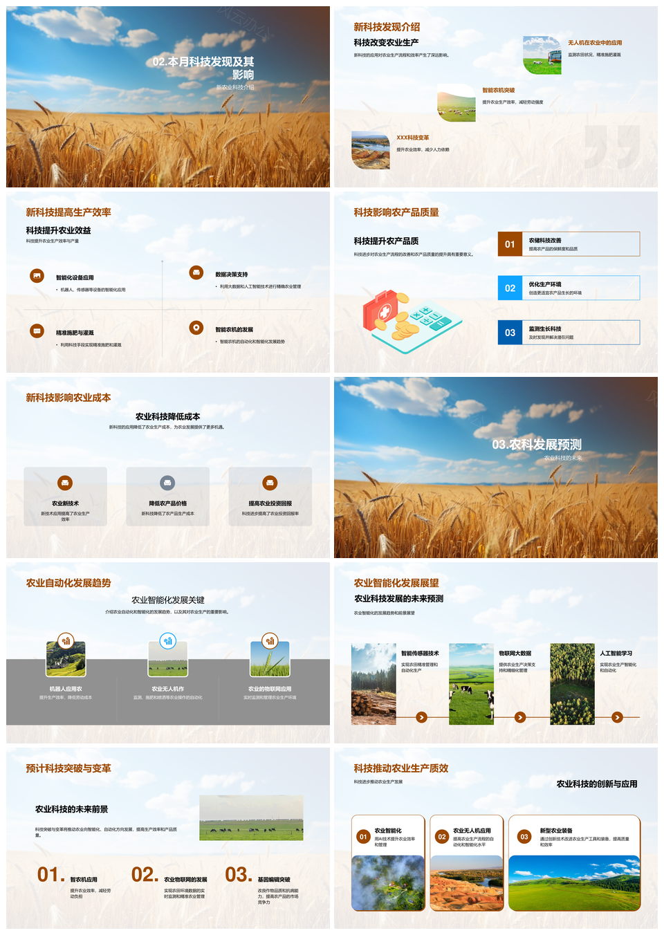 农业科技进步提升小麦生产效率PPT课件