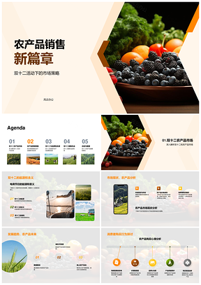 双十二生鲜农产品网络营销策略新篇章PPT模板