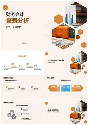 财务会计报表比率趋势垂直分析评估绩效PPT模板