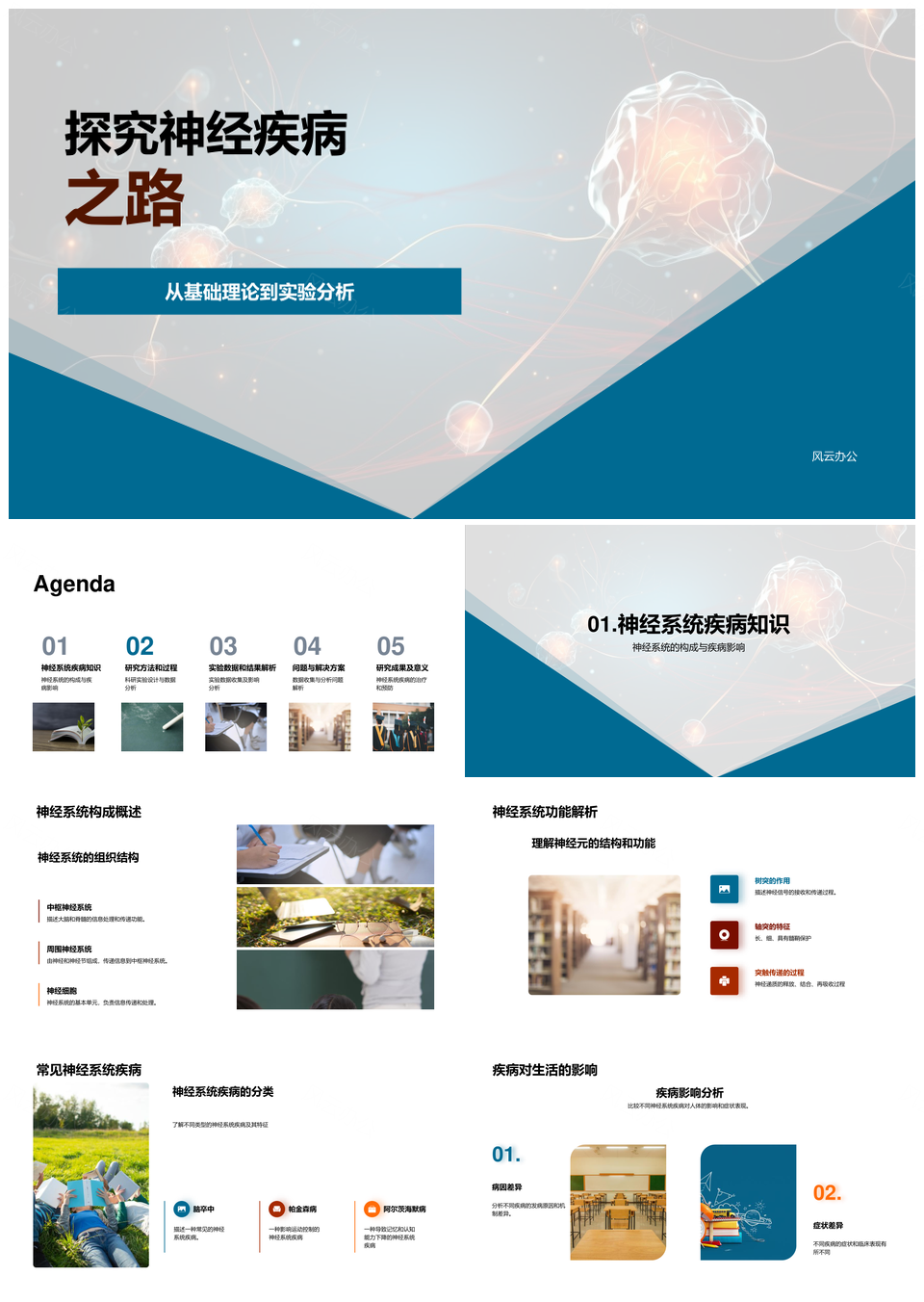 神经疾病实验显微数据分析研究方法PPT模板