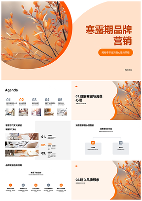 寒露品牌战略规划结合节气消费需求营销PPT模板