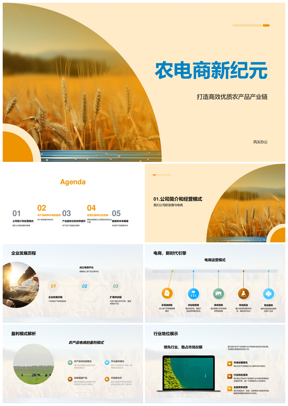 农电商新纪元产业链降本消费趋势PPT模板