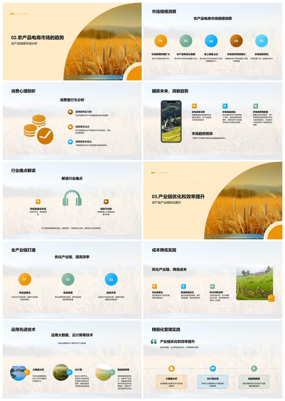 农电商新纪元产业链降本消费趋势PPT模板