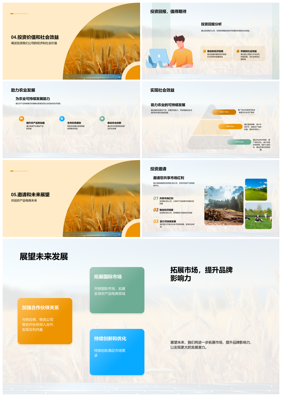 农电商新纪元产业链降本消费趋势PPT模板