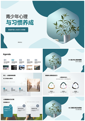 青少年心理健康与正向习惯养成策略PPT模板