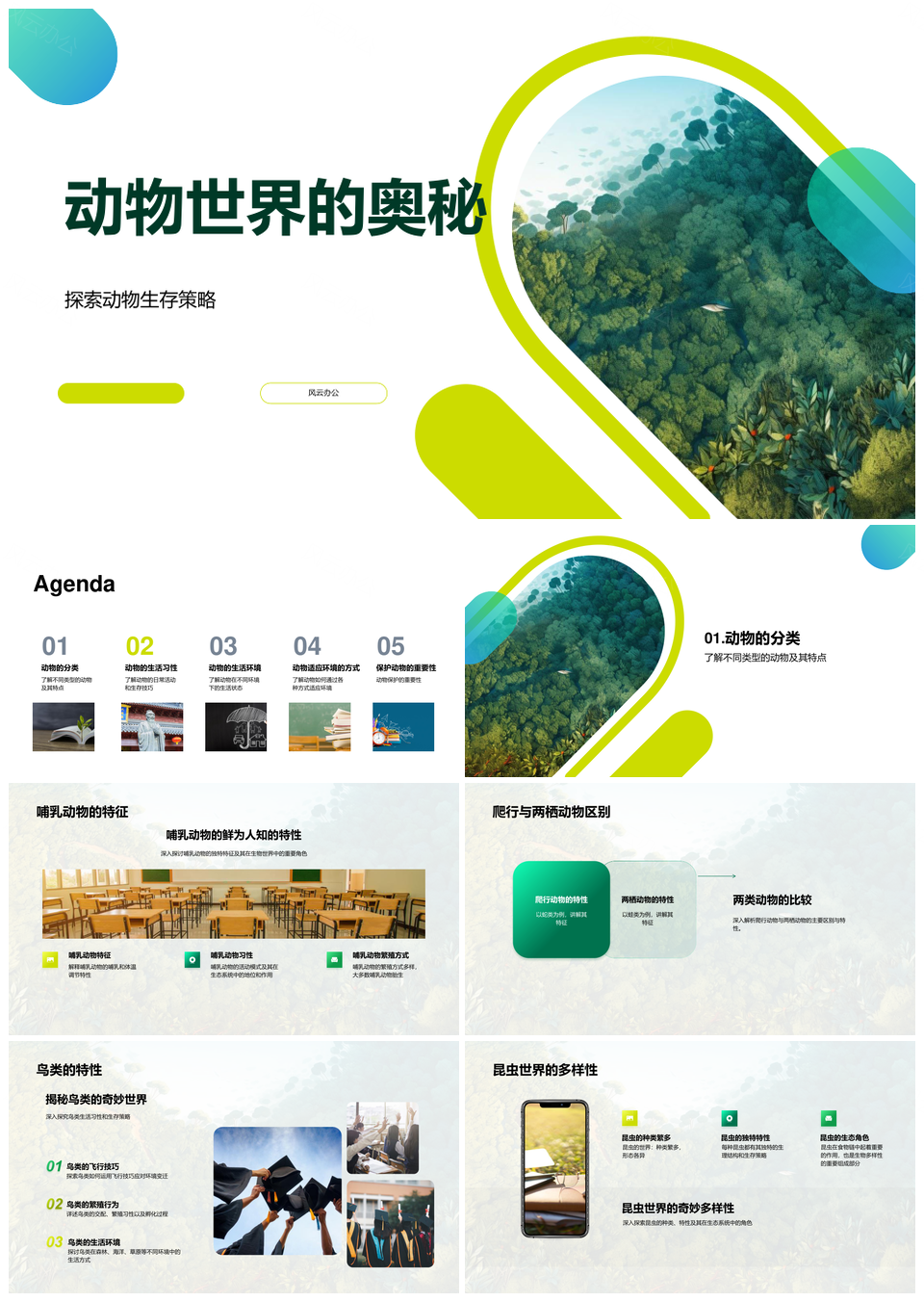 动物世界生存智慧与自然法则丛林探秘PPT模板