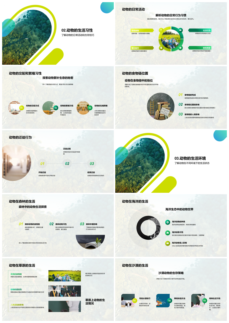 动物世界生存智慧与自然法则丛林探秘PPT模板