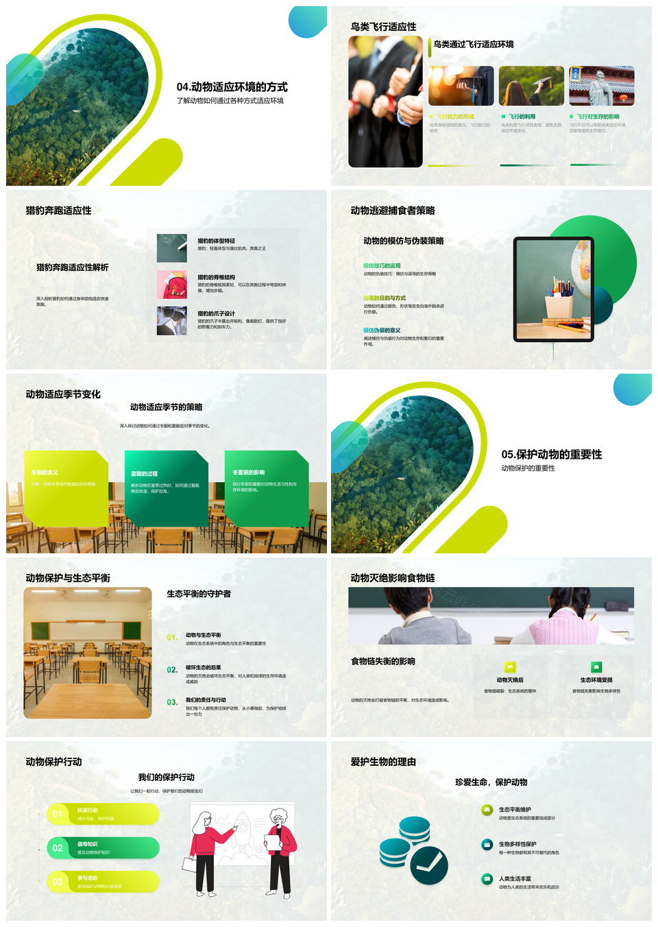 动物世界生存智慧与自然法则丛林探秘PPT模板