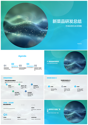 2025新菜品研发市场反馈团队策略推广销售用户总结PPT模板