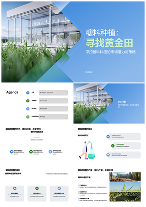 糖料种植黄金田稳需高回报聚焦甘蔗PPT模板