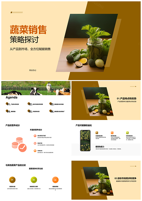新鲜蔬菜产品营销推广策略与竞争优势分析PPT模板