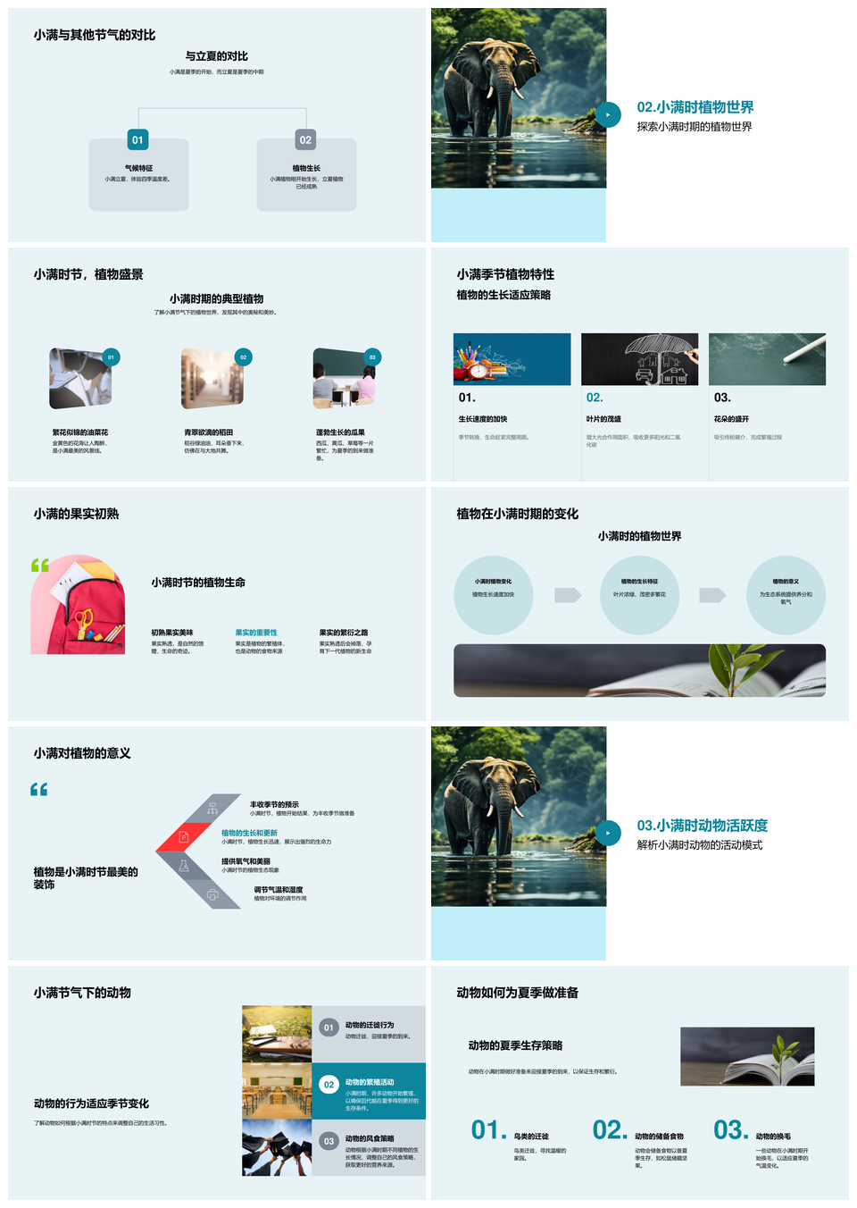 小满绿意盎然生态生机PPT模板