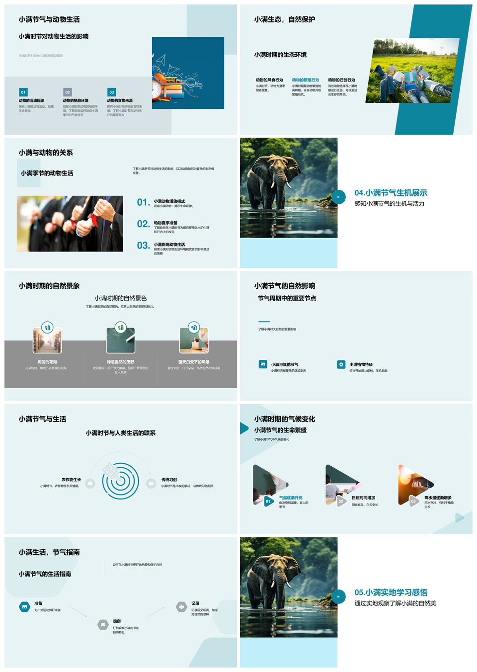 小满绿意盎然生态生机PPT模板