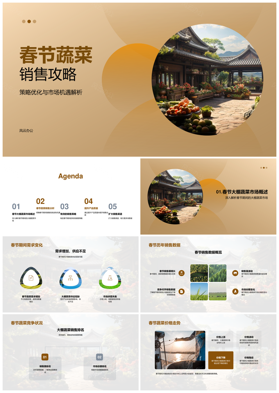 春节大棚蔬菜营销策略优化市场机遇PPT模板