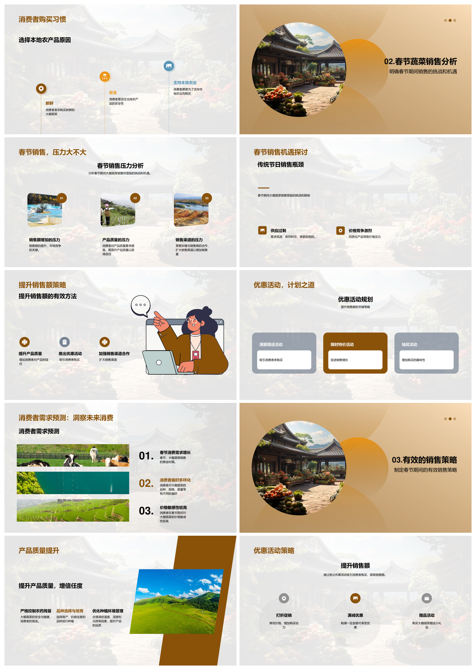 春节大棚蔬菜营销策略优化市场机遇PPT模板