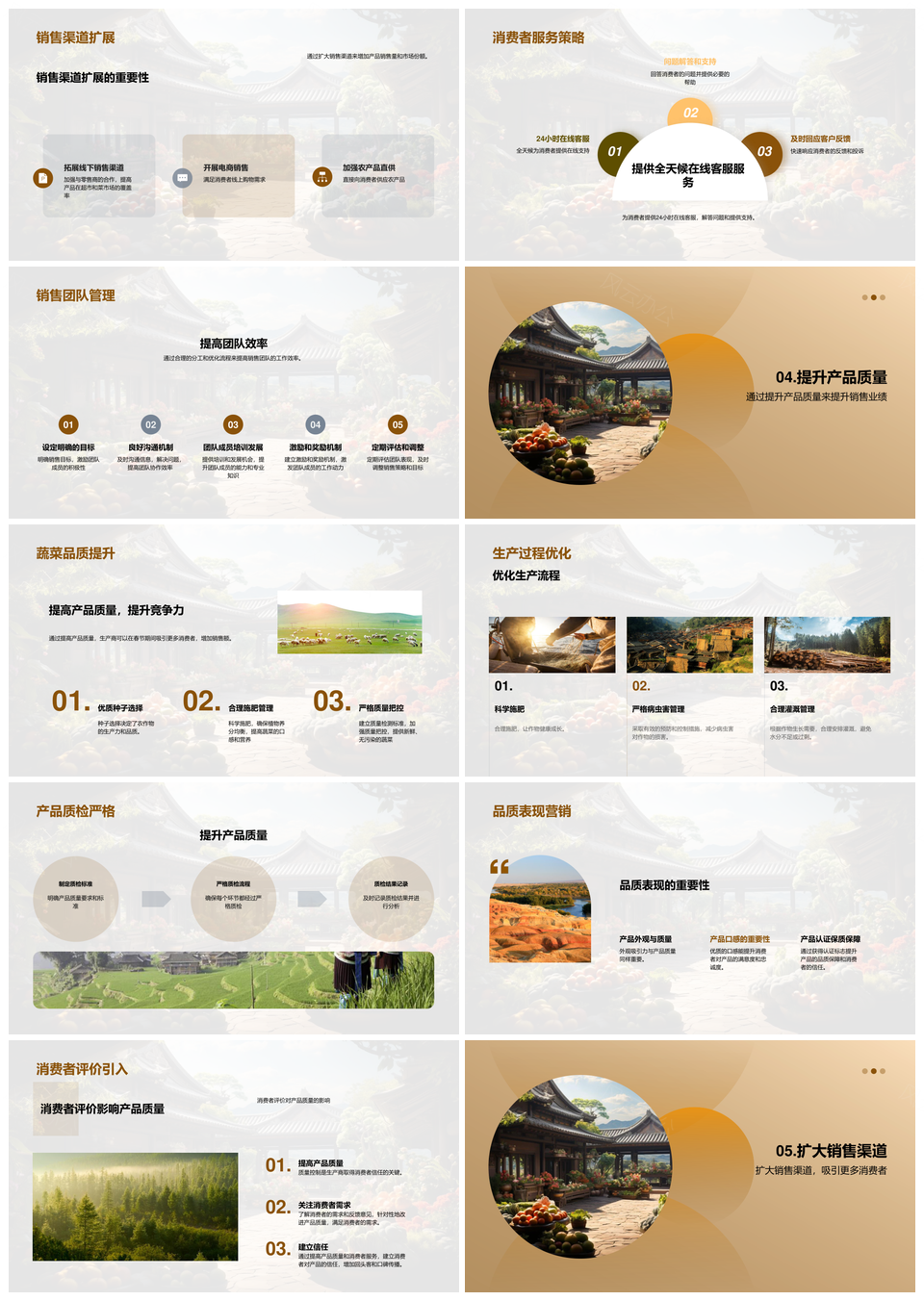 春节大棚蔬菜营销策略优化市场机遇PPT模板