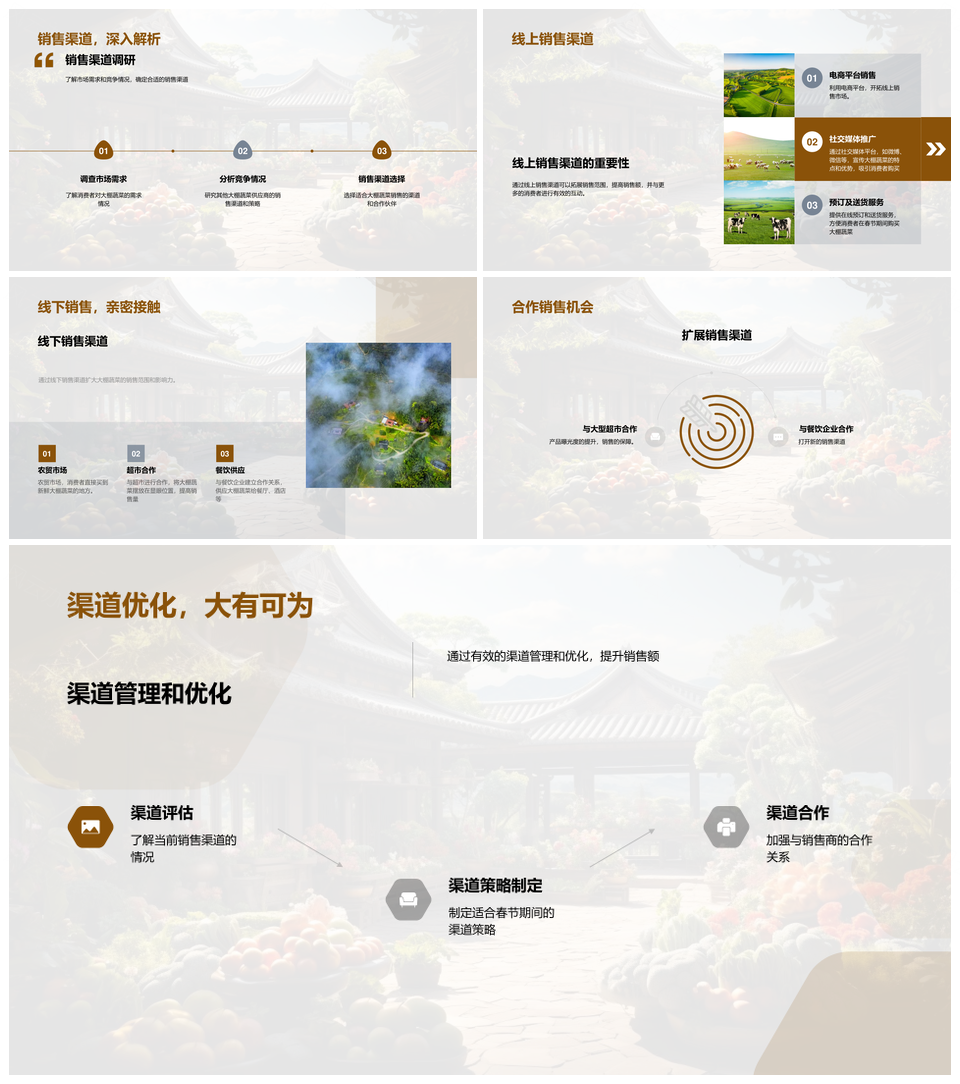 春节大棚蔬菜营销策略优化市场机遇PPT模板