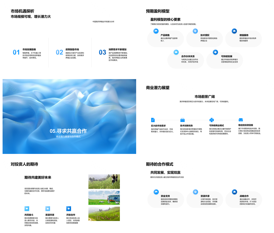 全球海洋养殖技术创新融资规划风险分析PPT模板