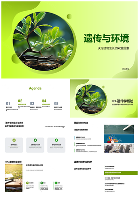 遗传环境植物生长基因定律光照温度水分DNAPPT模板