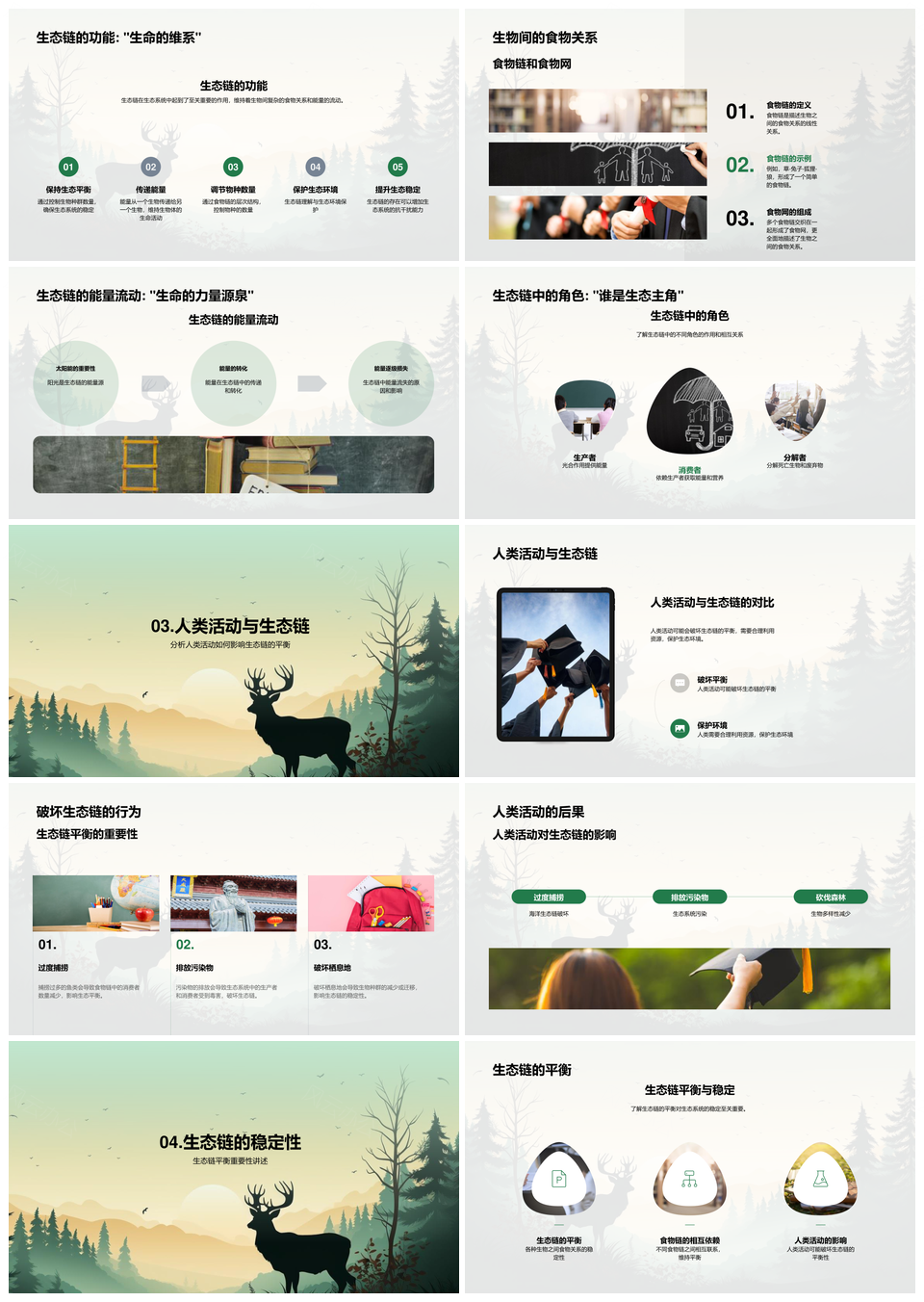 生态链平衡保护与生物关系人类影响PPT模板