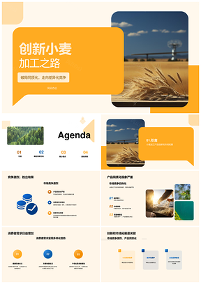 创新小麦加工突破同质化竞争策略PPT模板