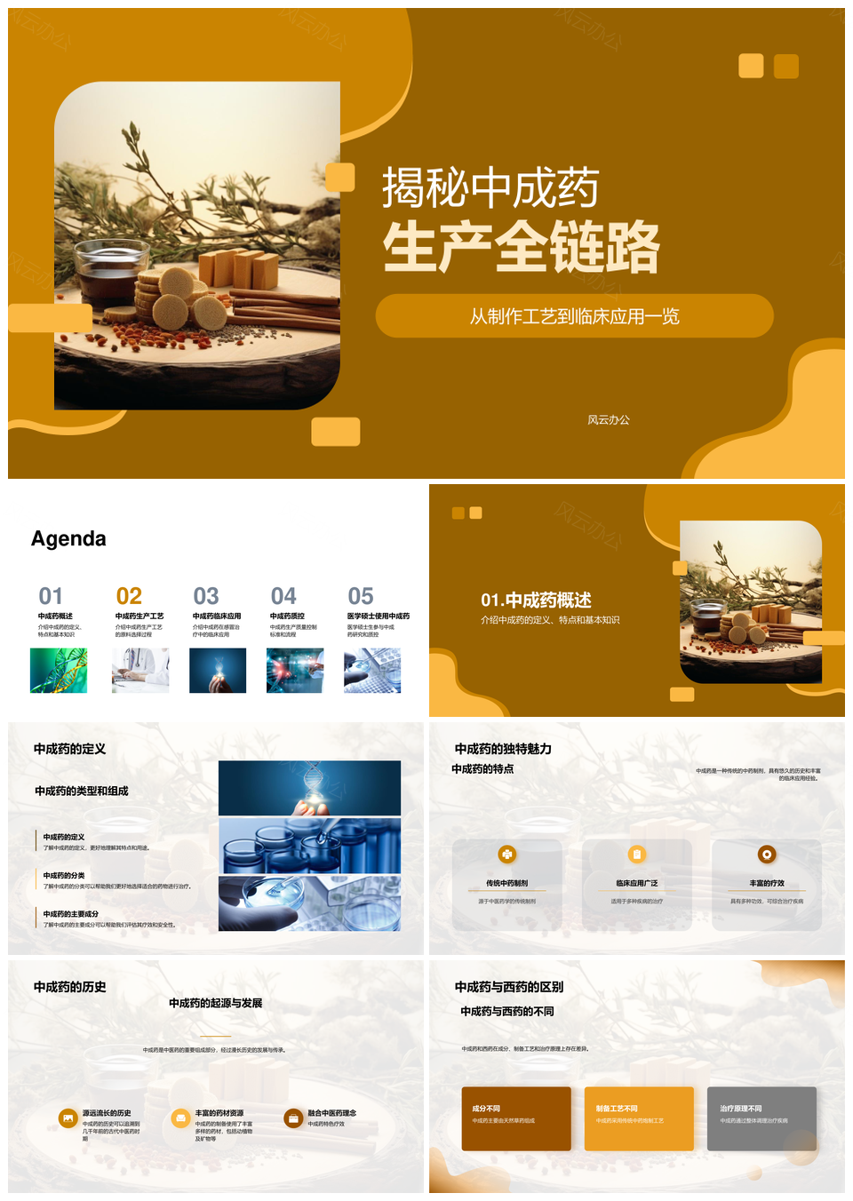 中成药生产工艺历史原料选择应用揭秘PPT模板