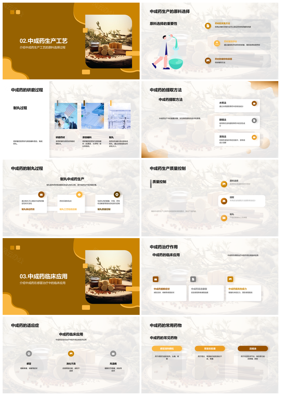 中成药生产工艺历史原料选择应用揭秘PPT模板