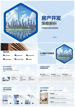 2025房产开发策略市场趋势投资者风险管理盈利解析PPT模板