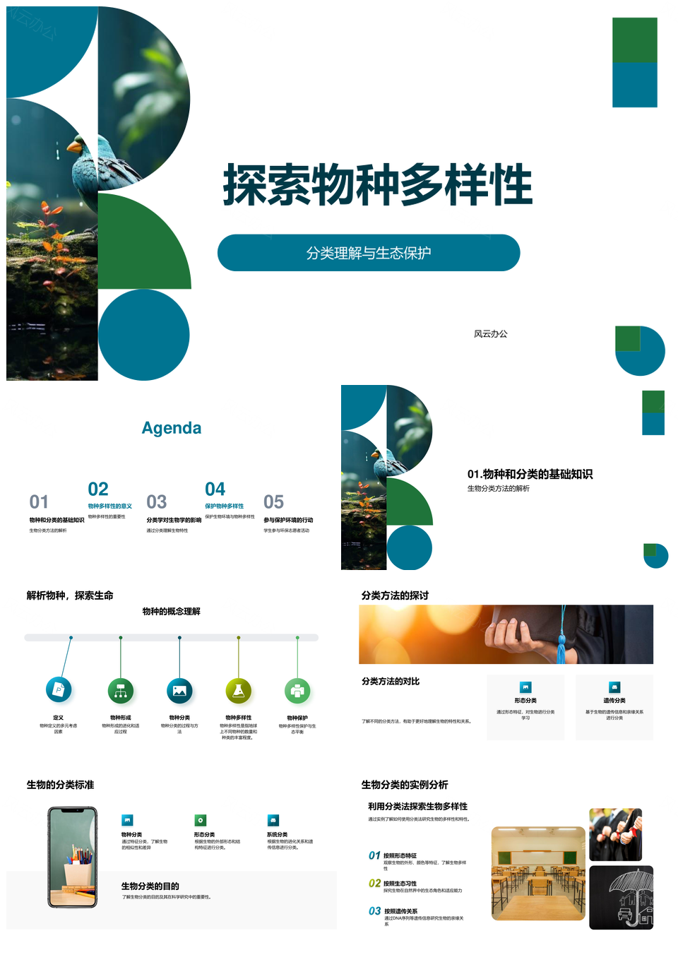 热带雨林生物多样性分类与生态保护教育PPT模板