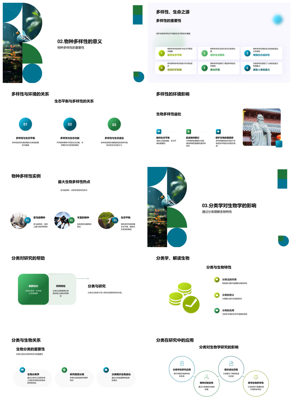 热带雨林生物多样性分类与生态保护教育PPT模板