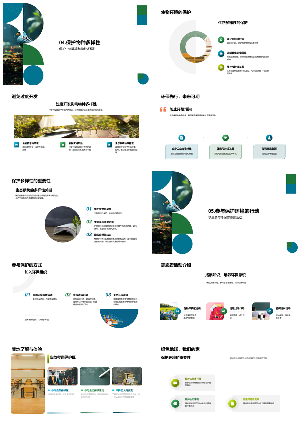 热带雨林生物多样性分类与生态保护教育PPT模板
